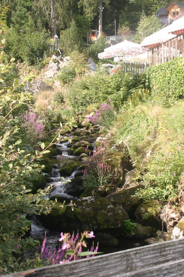 Hotel Gastehaus Zur Lilie Triberg im Schwarzwald Zewnętrze zdjęcie